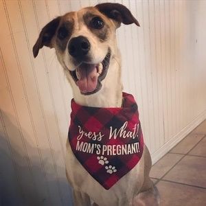 Meet your Posher, Jon